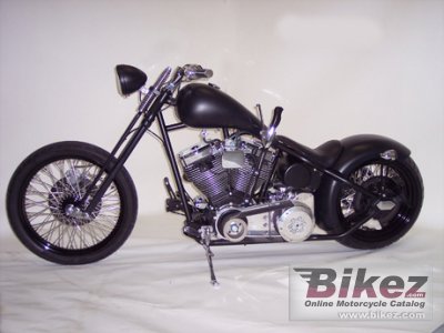 2009 Precision Cycle Works Bobber 300 photo